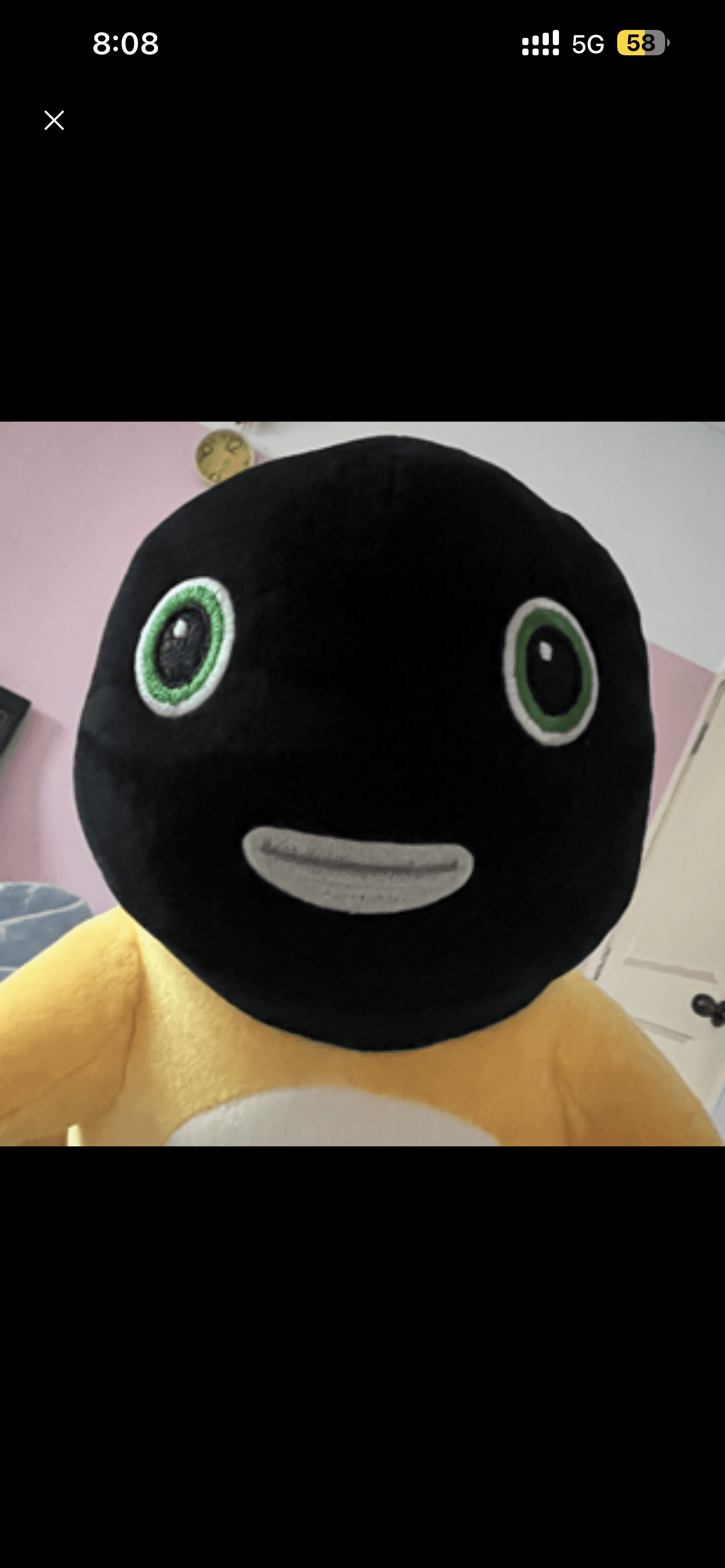 TEST TEST